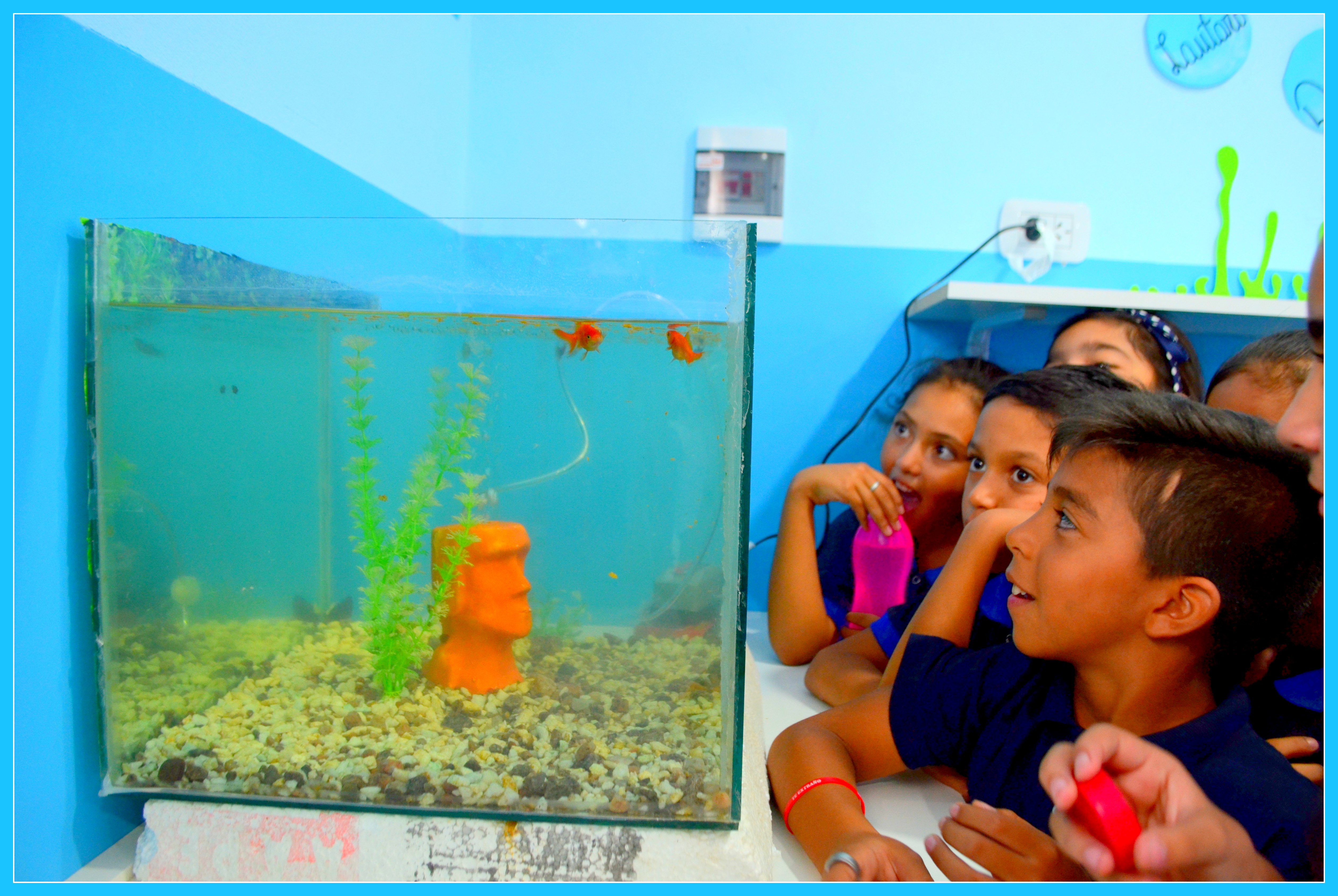 SUSHI, NACHA, DORIS, NEMO Y TIBURONCIN, LOS PECECITOS DEL QUINTO AGRUPAMIENTO