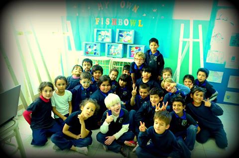 SEA ANIMALS – ANIMALES DEL MAR