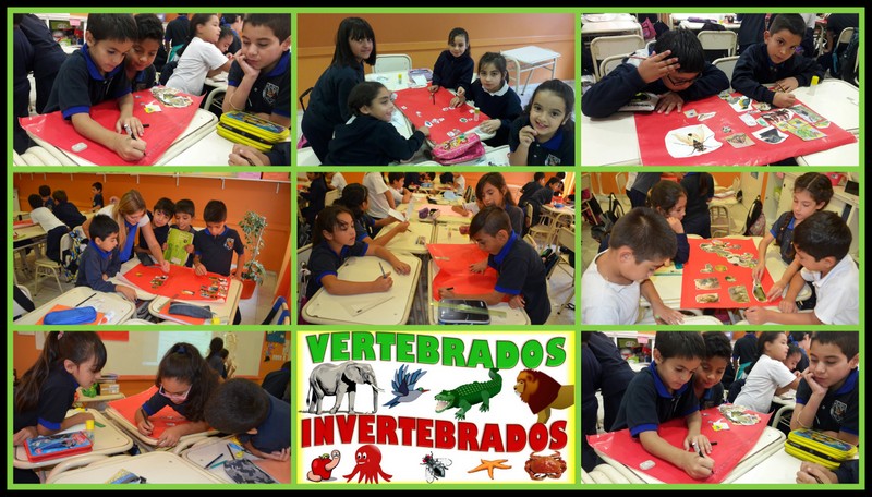 3° AGRUPAMIENTO ESPAÑOL: ESTUDIAMOS EL GRAN REINO ANIMAL