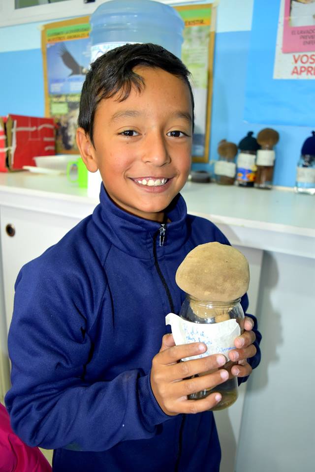 4° AGRUPAMIENTO: NUESTRA EXPERIENCIA SOBRE LA GERMINACIÓN