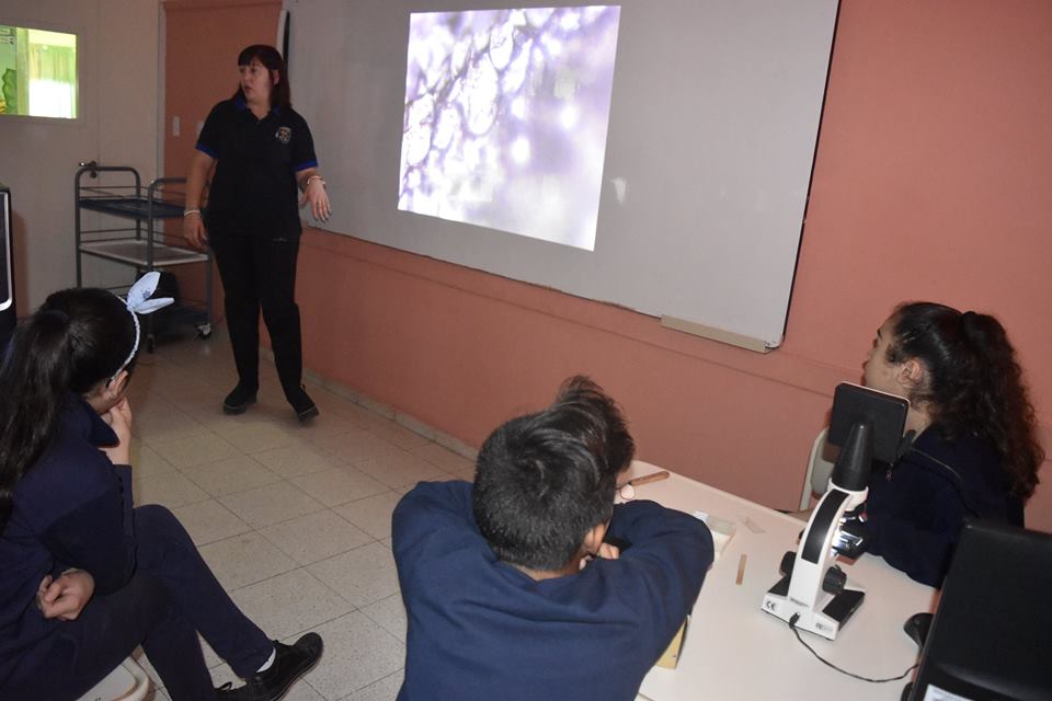 OBSERVAMOS DISTINTOS TEJIDOS CON EL MICROSCOPIO DIGITAL