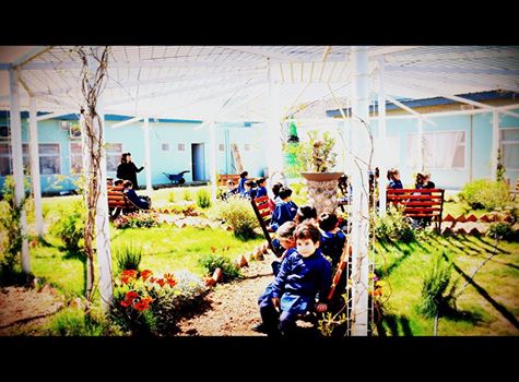 ¡TARDE A PURO SOL EN LA PÉRGOLA DE LA ESCUELA!