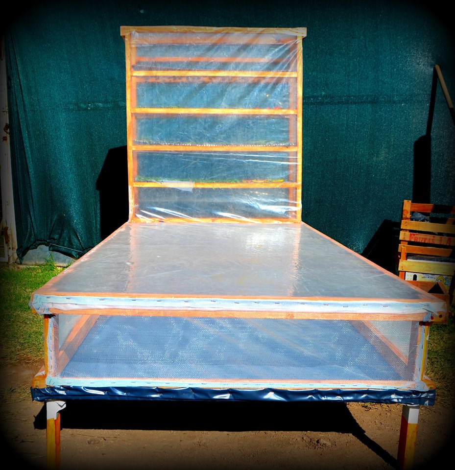 DESHIDRATADOR SOLAR DE FRUTAS Y VERDURAS 