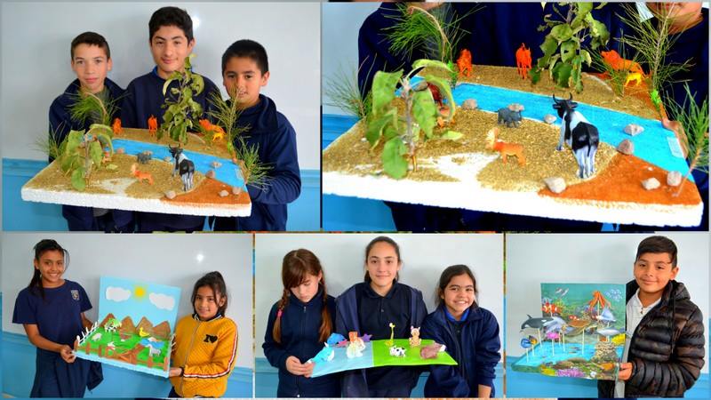 6° Agrupamiento: Aprendemos sobre ecosistemas y el cuidado del medio ambiente.